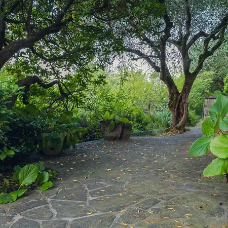Castlegrace Garda - Italian Homing * Padenghe sul Garda