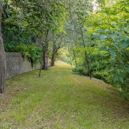Castlegrace Garda - Italian Homing Villa